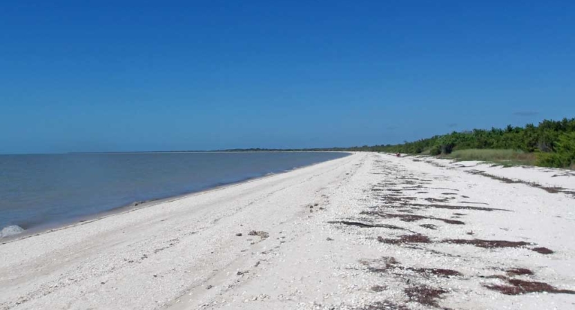 A white sand beach stretches forward, alongside a vast blue ocean. 